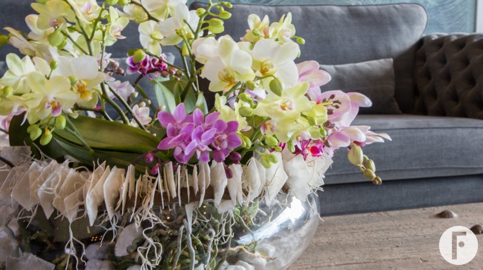 bowl of orchids Nelleke Bontje Flower Factor Opti flor close up