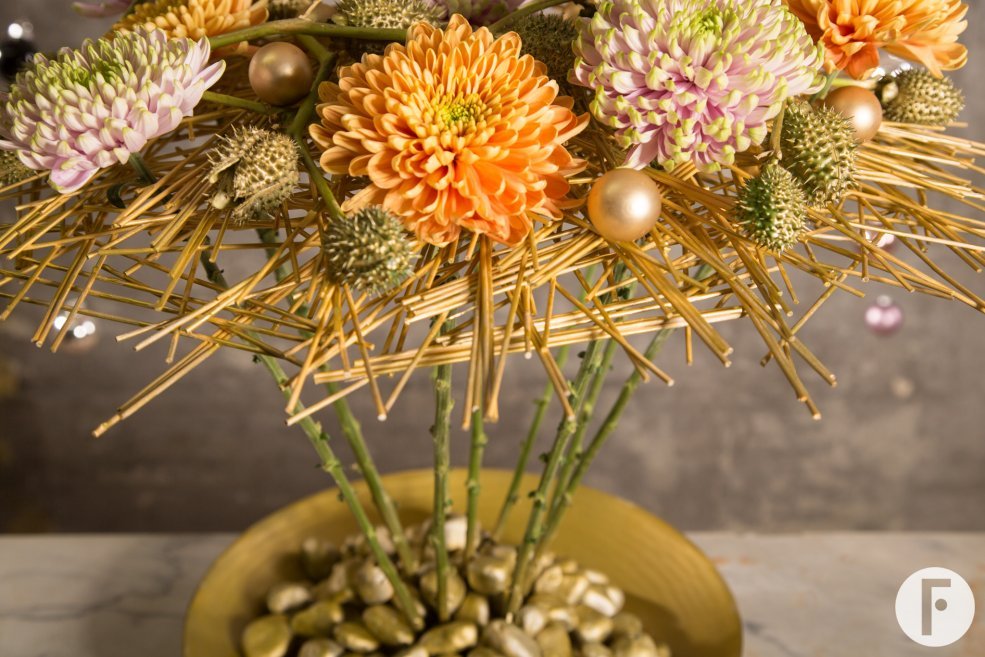 De 'Rossano Orange' en 'Rossano Charlotte'