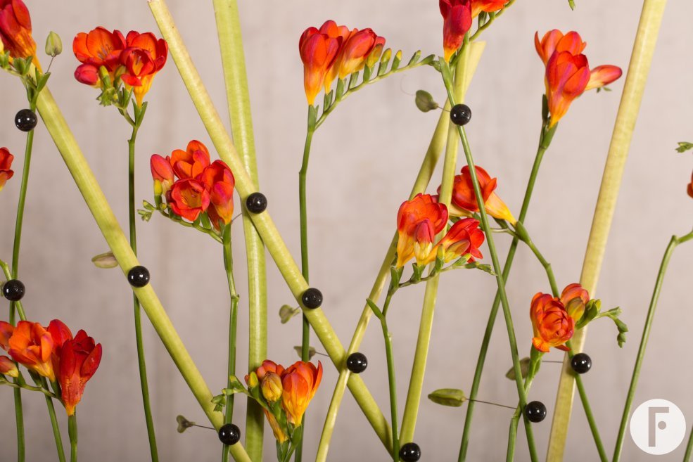 Rood en zwart voor een stijlvolle kerst