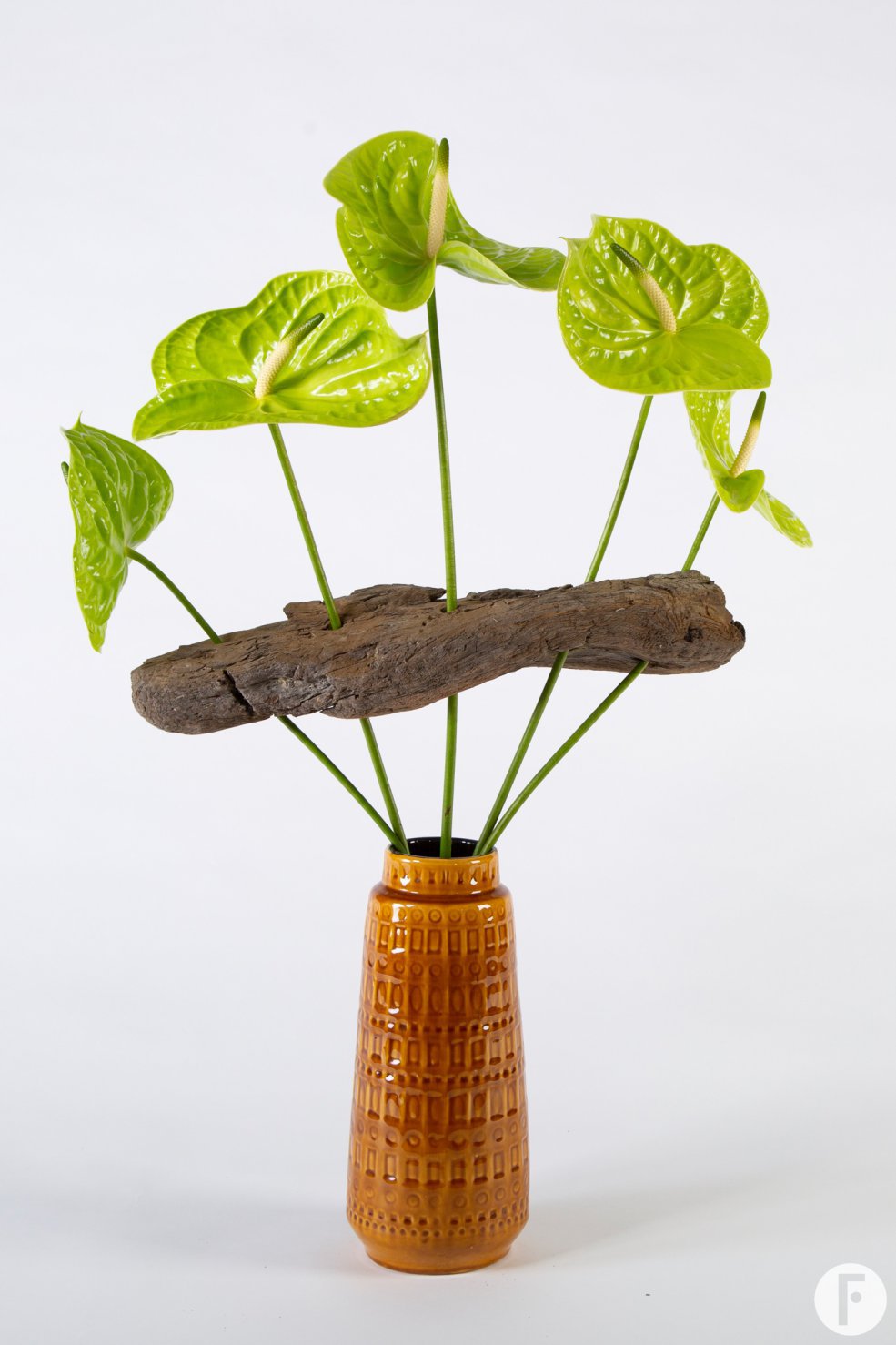 Anthuriums in a frame bouquet - Pim van den Akker - Flower Factor