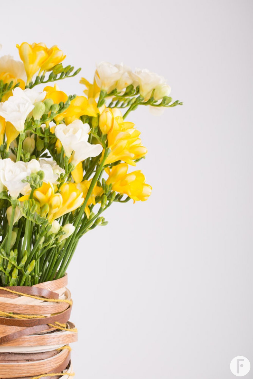 Oasis of Freesia Scent close-up