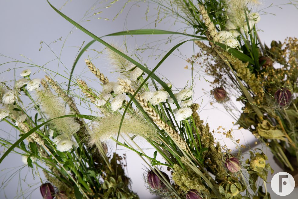 Pizarro - Dennis Lanzaat - Flower Factor