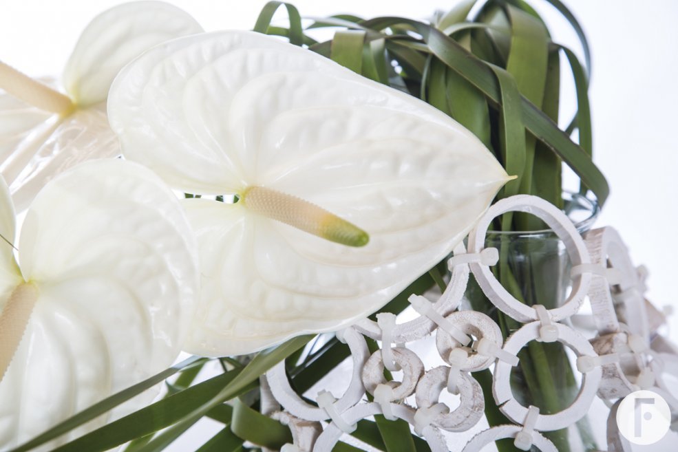 Fiore Anthuriums Moments close up Pim van den Akker