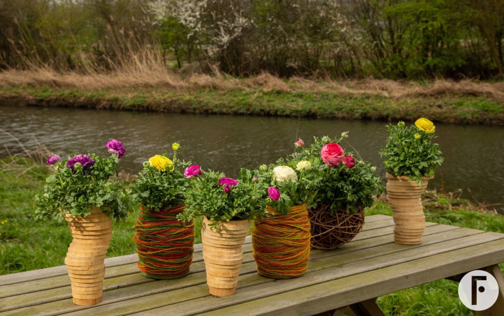 Ranunculus Vortex - outside