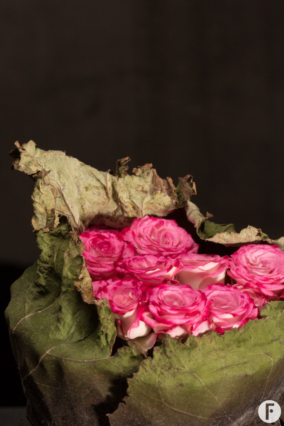 Flowering of love 1