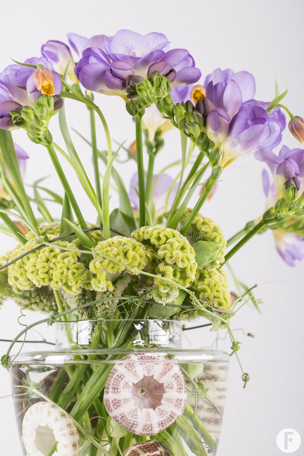 #FreestyleFreesia sea style - Roos van Unen