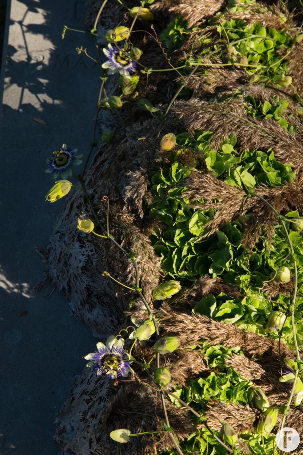 Green Hydrangea funeral design Kristel van Dijk Flower Factor