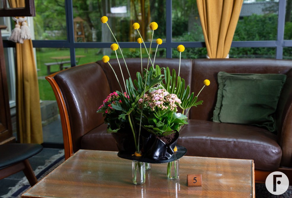 Kalanchoë in the hospitality business