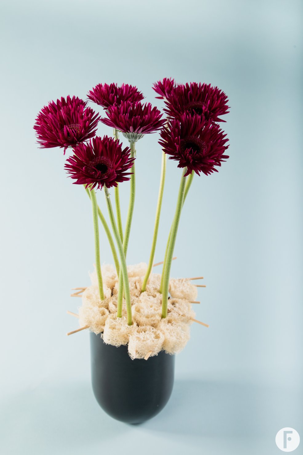 Elegant and contrasting mini Gerbera design