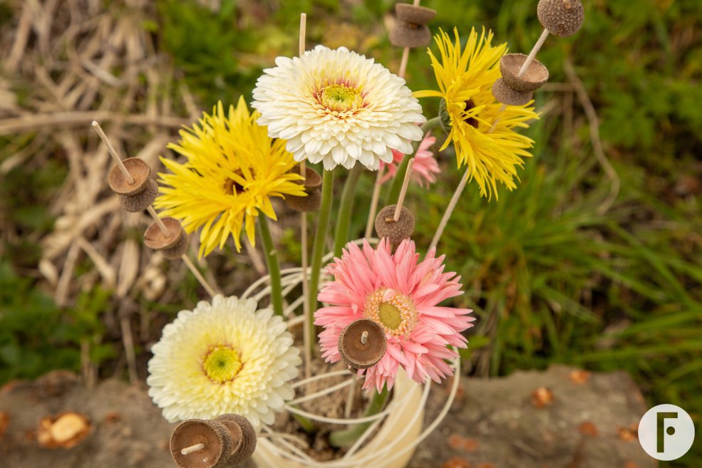 Paasstuk van Pim van den Akker met Mi Punki Indy, Mi Dotti Gerardo en Mi Twisti Earl