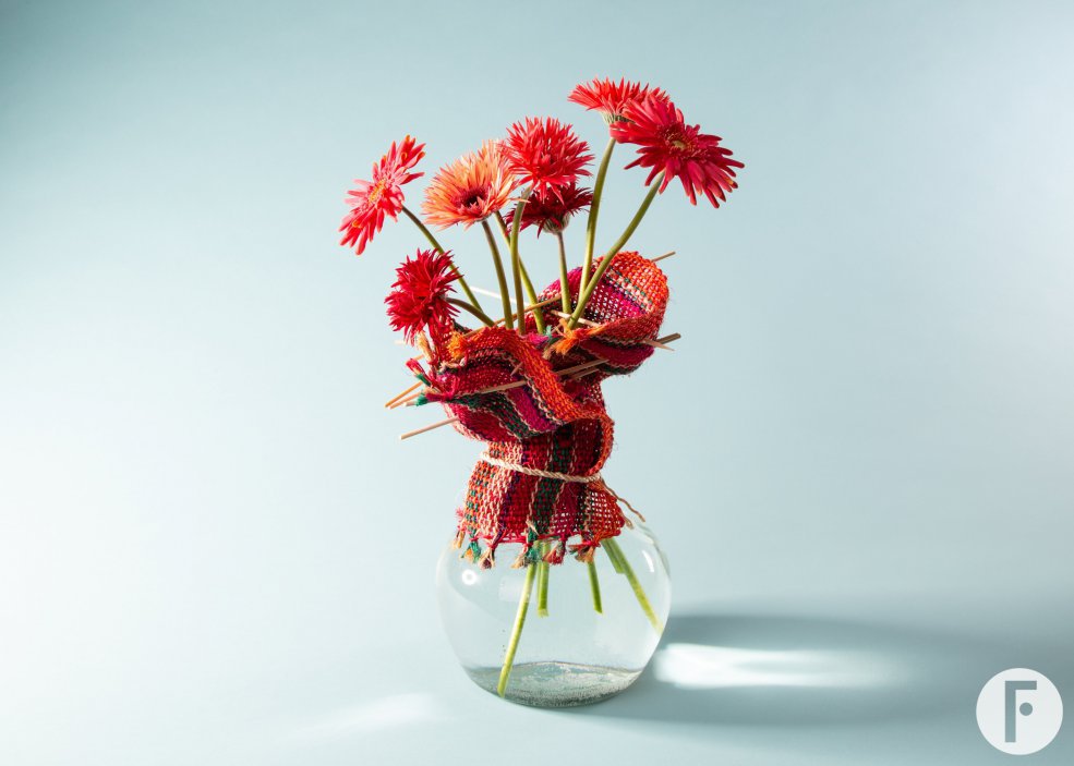 Colourful mini Gerbera varieties for Mother's Day