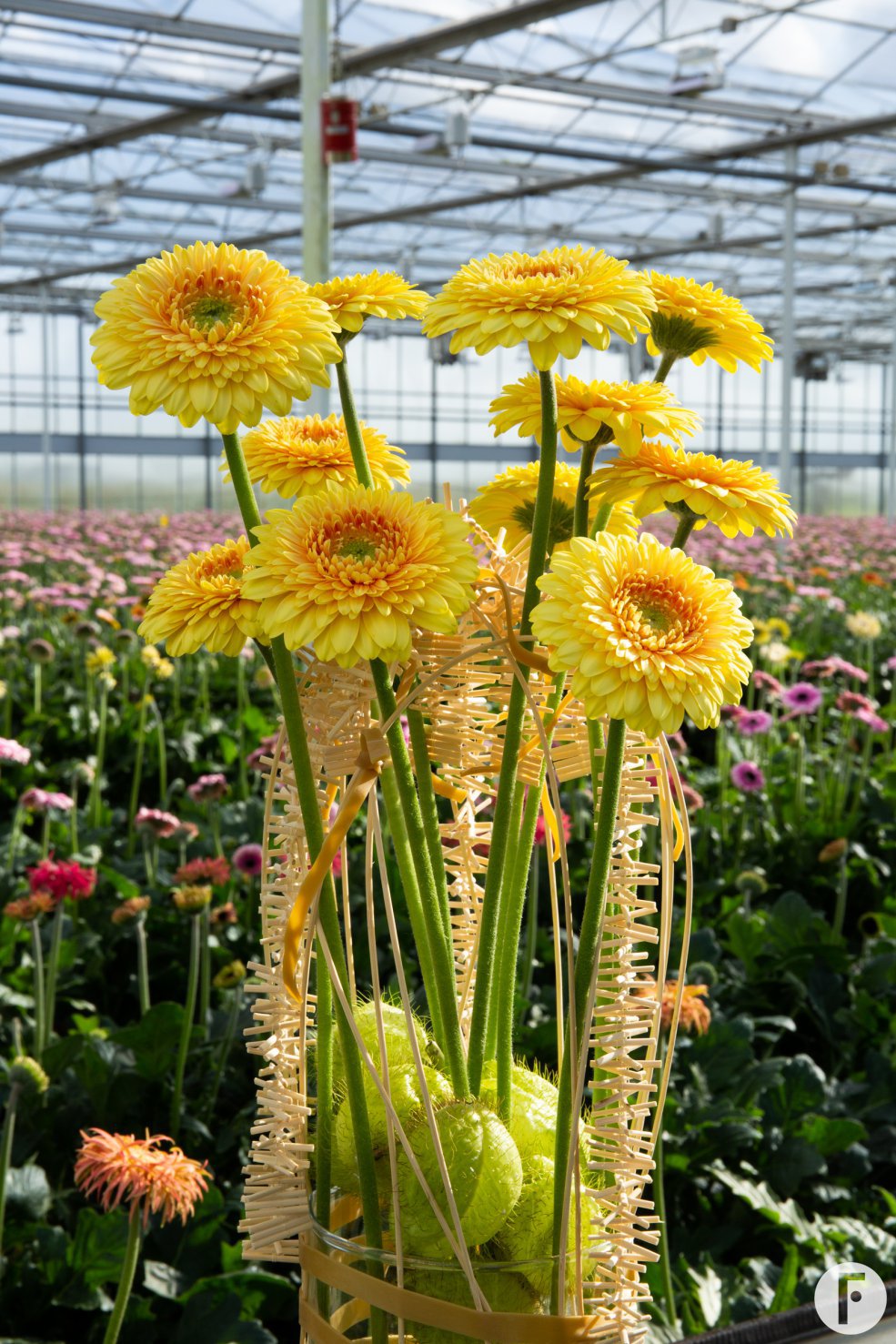 Gele mini Gerbera design - detail