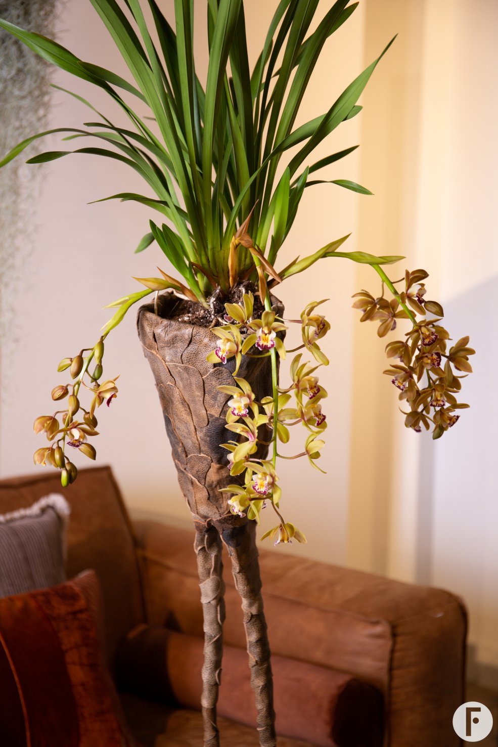 Tough interior with Cascade Cymbidium 'Argiro' detail