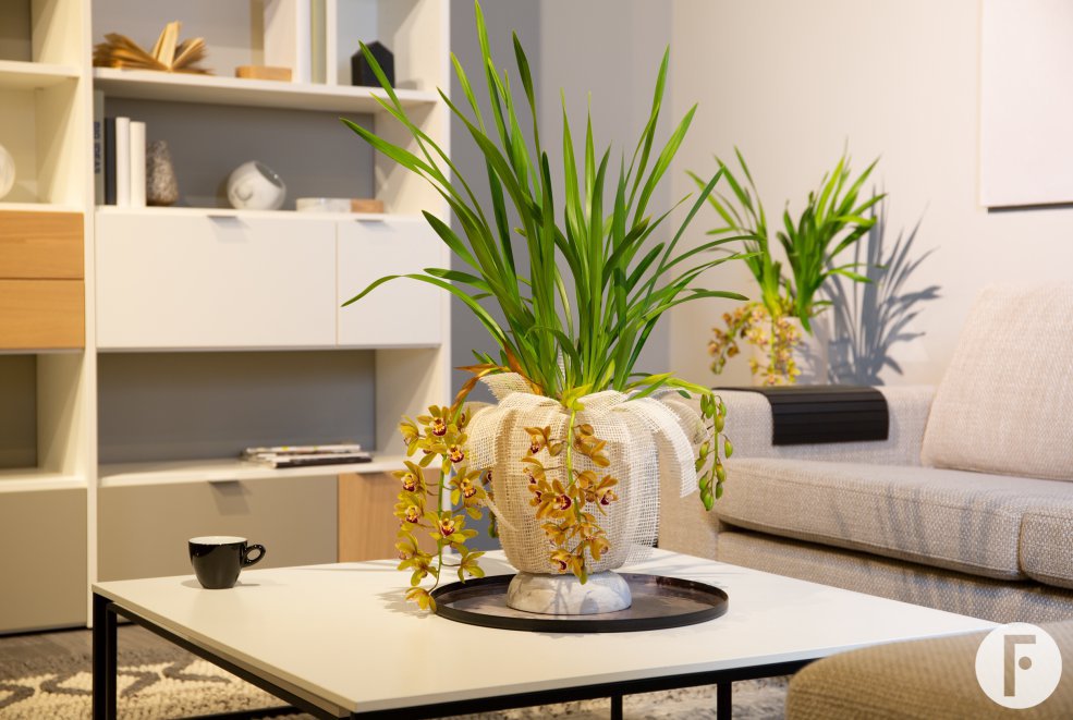 Cascade Cymbidium 'Agiro' - Urban Modern - detail