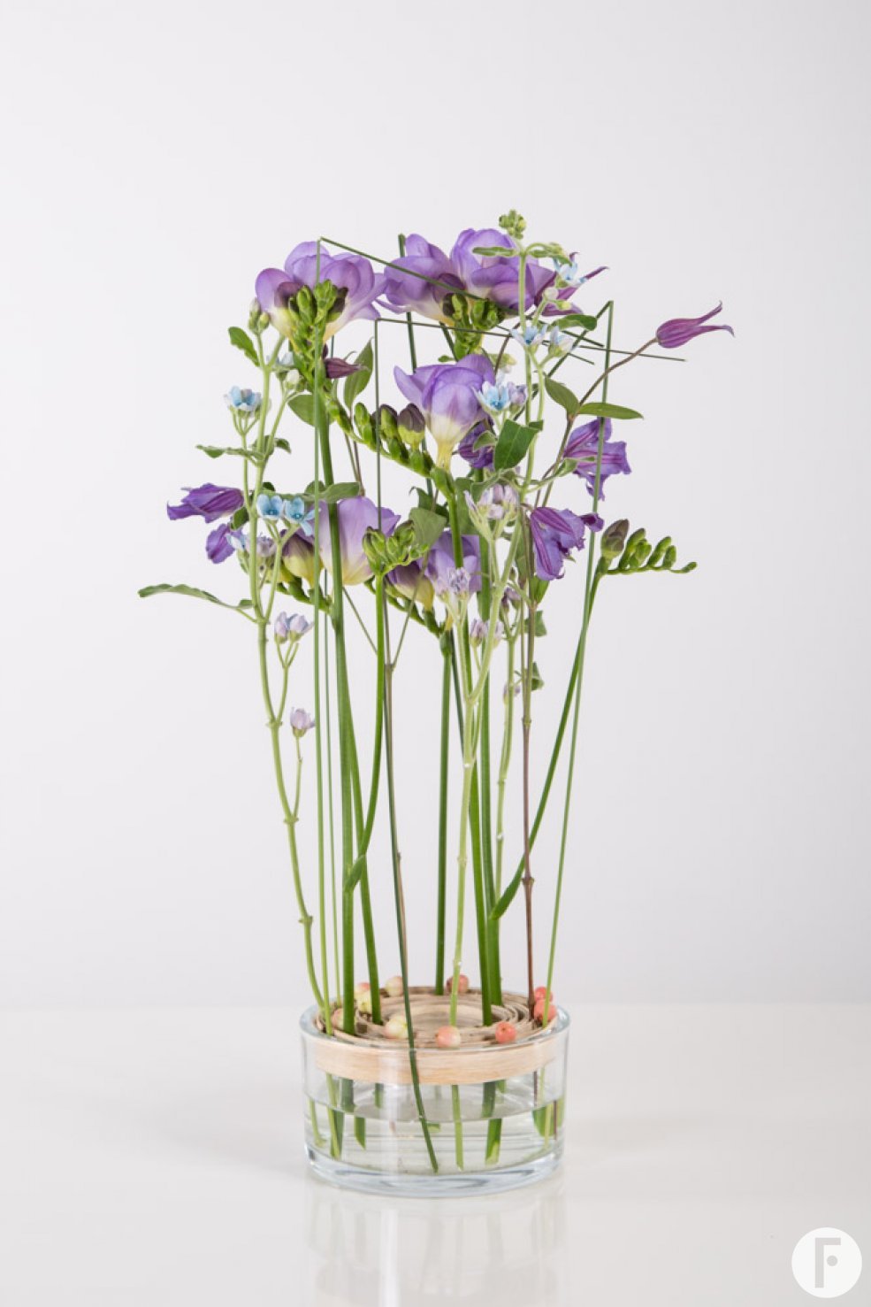 Serene Freesia design