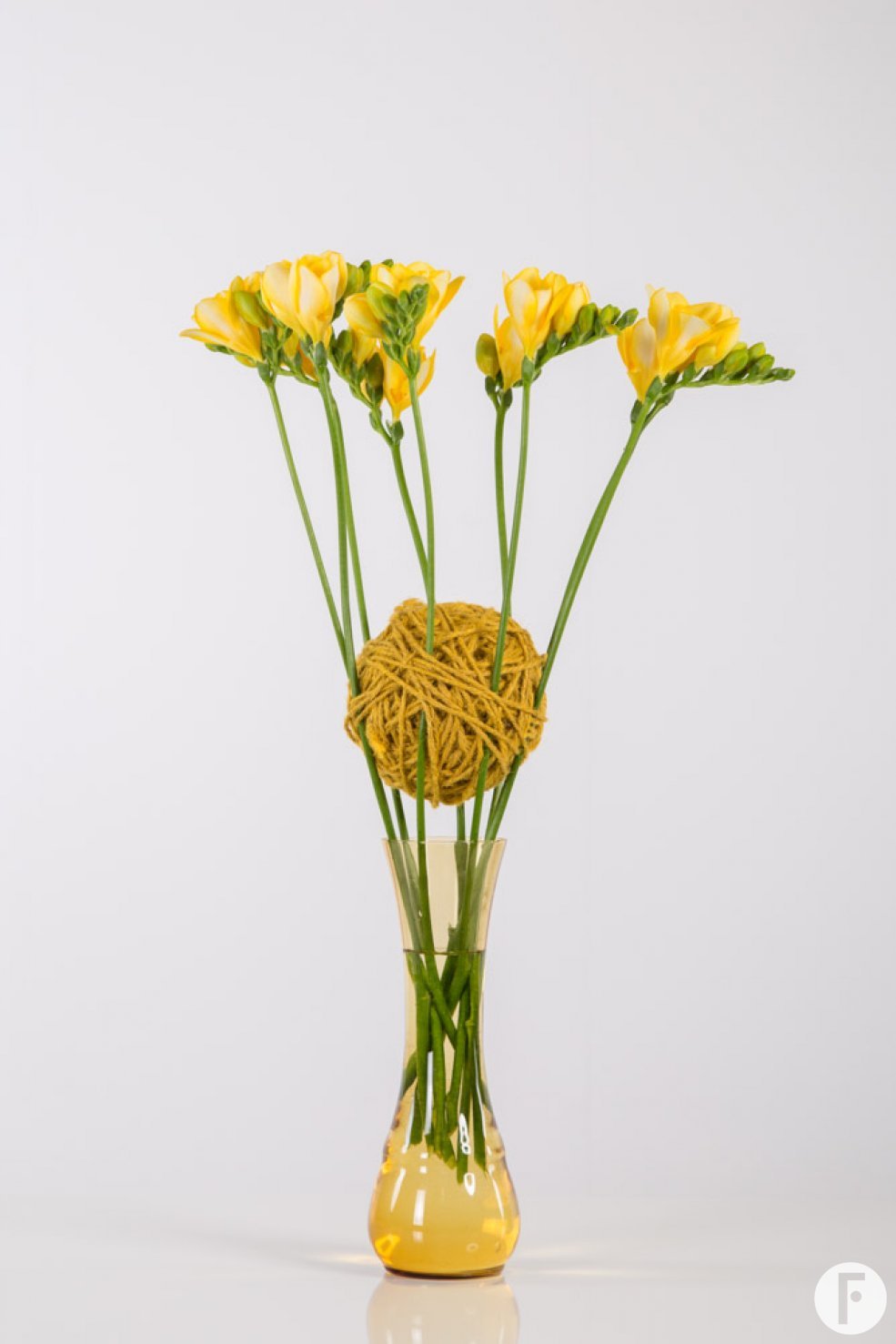A close-knit Freesia construction