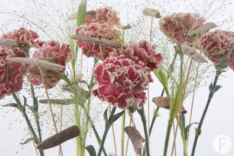 Anjer spiegel design