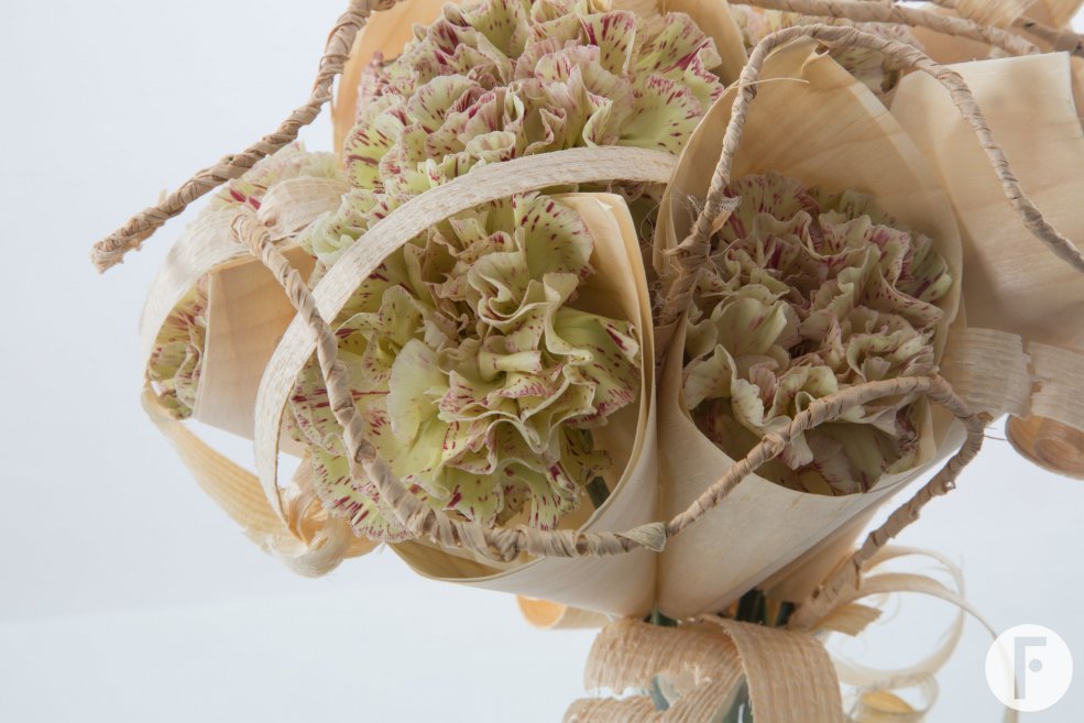 Dianthus in houten kegels close-up