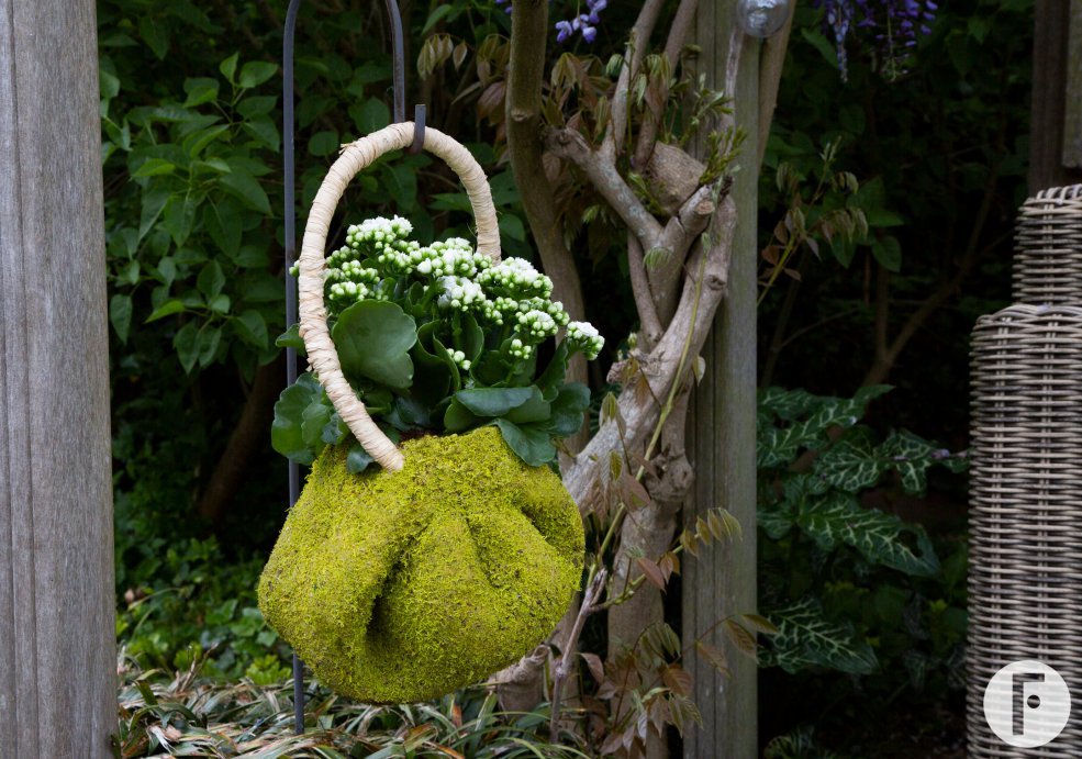 Kalanchoe hangend design - Pim van den Akker - Flower Factor