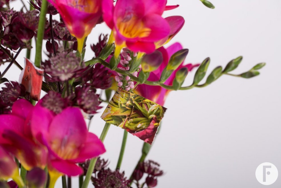 Magazine Freesia design close-up