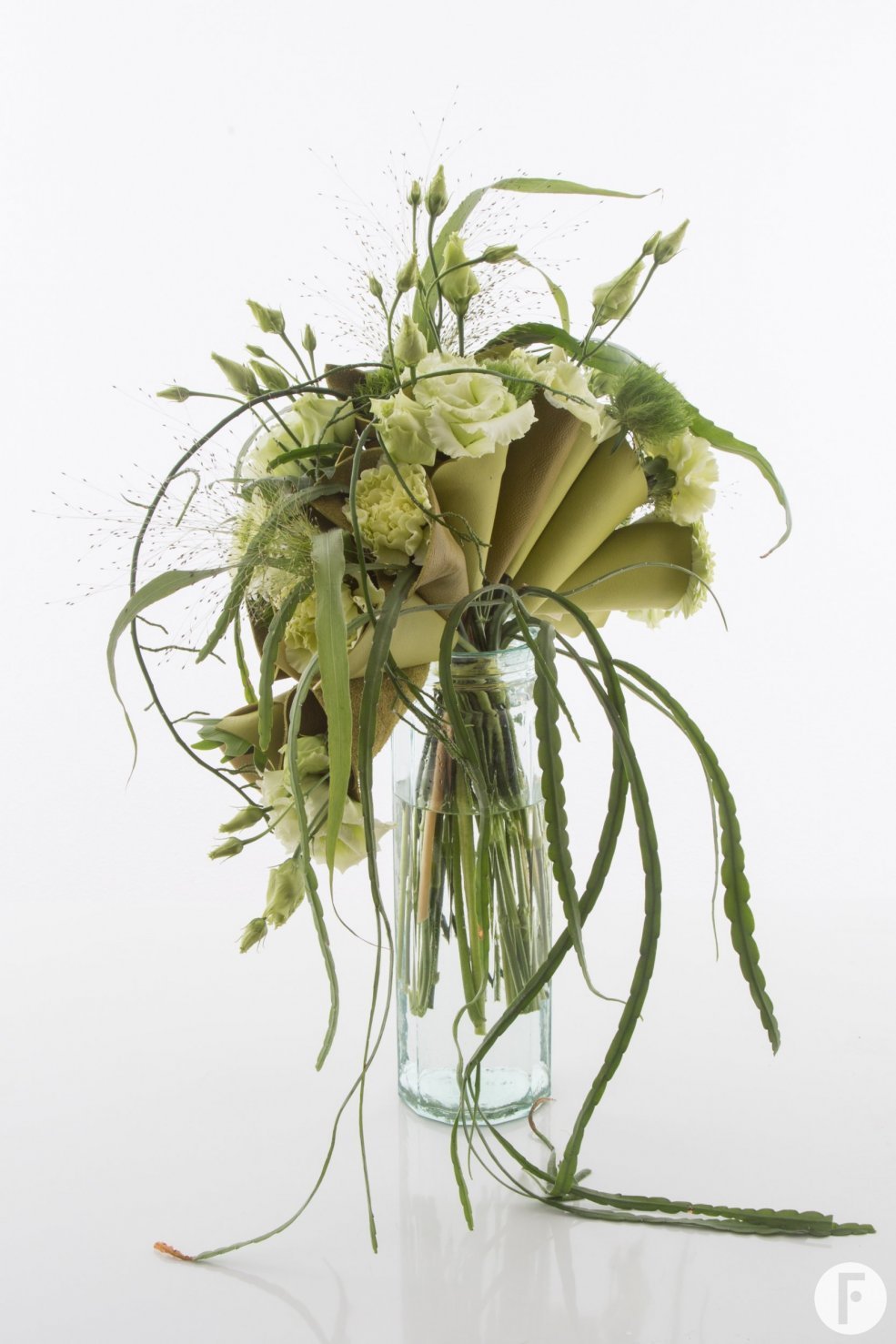 Leren kegels met trendy Dianthus