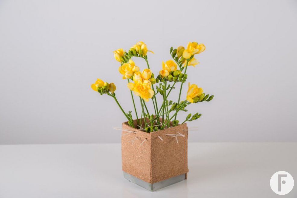 Freesia cube