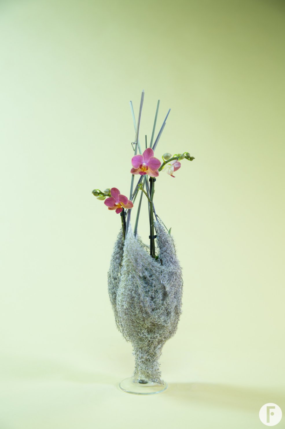 orchid arrangement idea Pim van den Akker Opti-flor