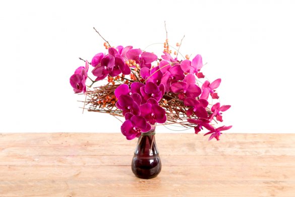 Phalaenopsis heart by Pim van den Akker