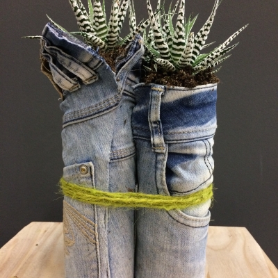 Denim Drift planten trio - commercieel idee