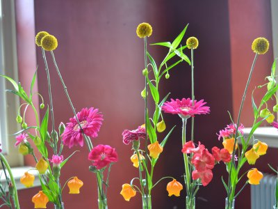close up Bridge of colour