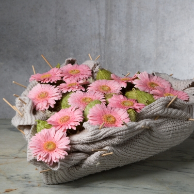 Soft tribute design with gerbera