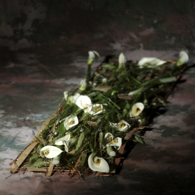 Harmonische Zantedeschia