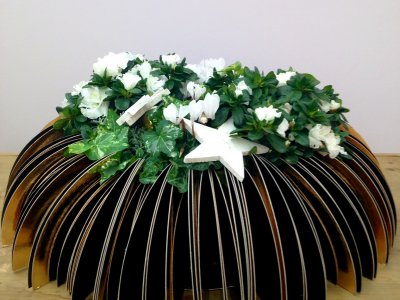 christmas plant arrangement 