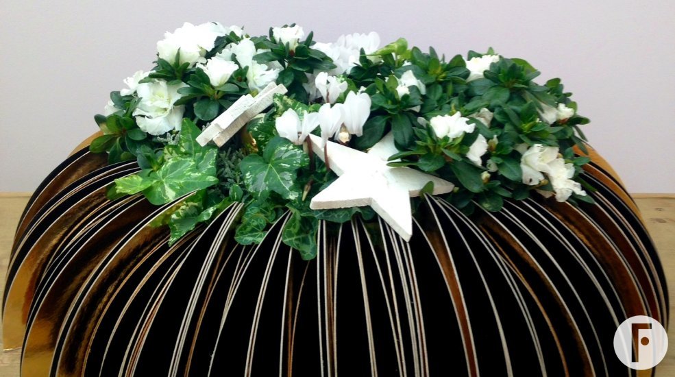 christmas plant arrangement bea1