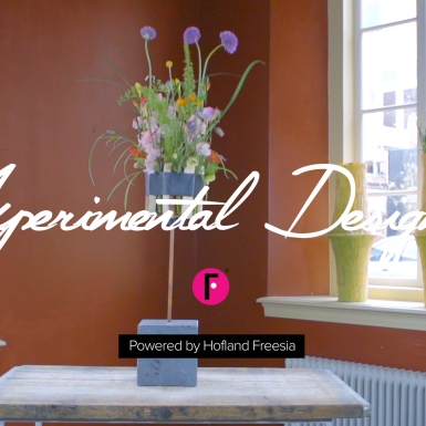 Experimental design by Iris van Werkhoven
