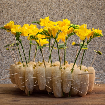 Spring is in the air with this fragrant Freesia design