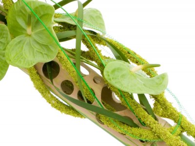 Modern flower arrangement with Anthurium