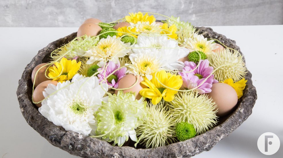 Zentoo moodboard spring 2017 bowl design