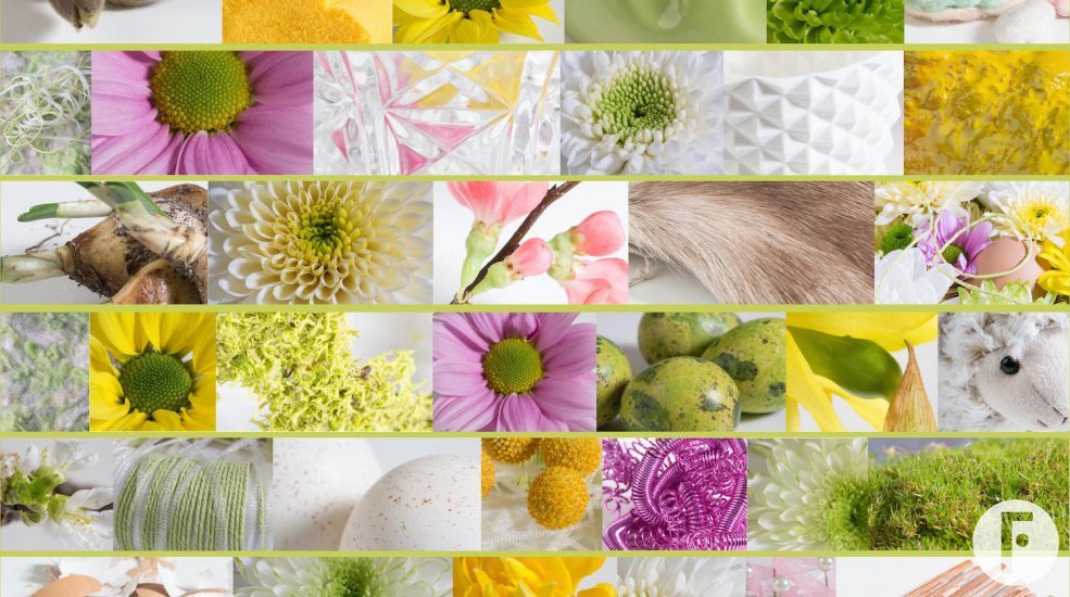 Zentoo moodboard spring 2017