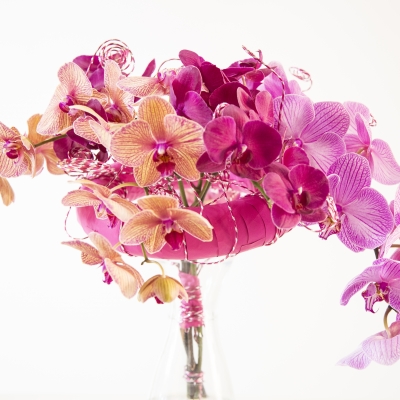 Phalaenopsis bouquet