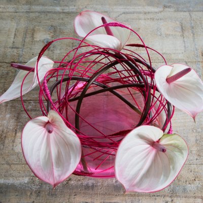 simple bouquet with Anthurium
