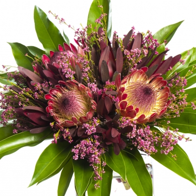 Bouquet with Protea