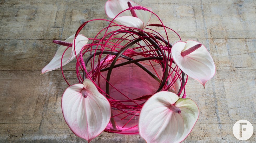 Anthurium bouquet by Kristel van Dijk Flower Factor