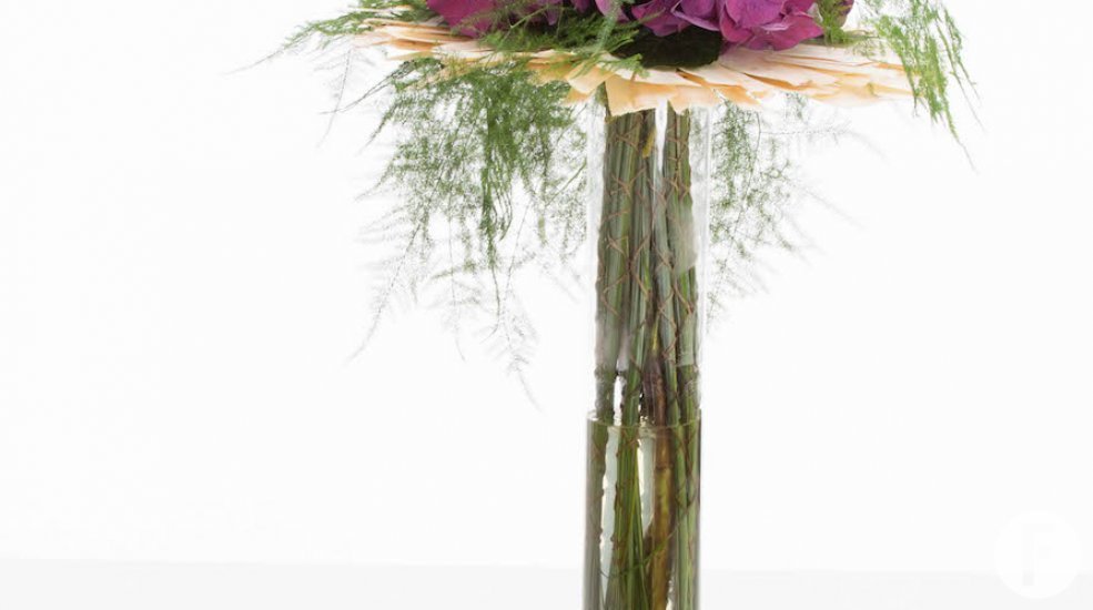 snij Hortensia David Ragg Flower Factor