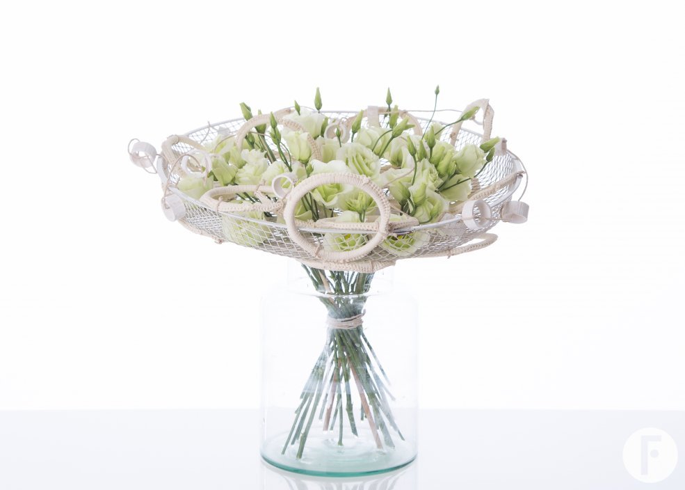 570A29261 kopie jpeg