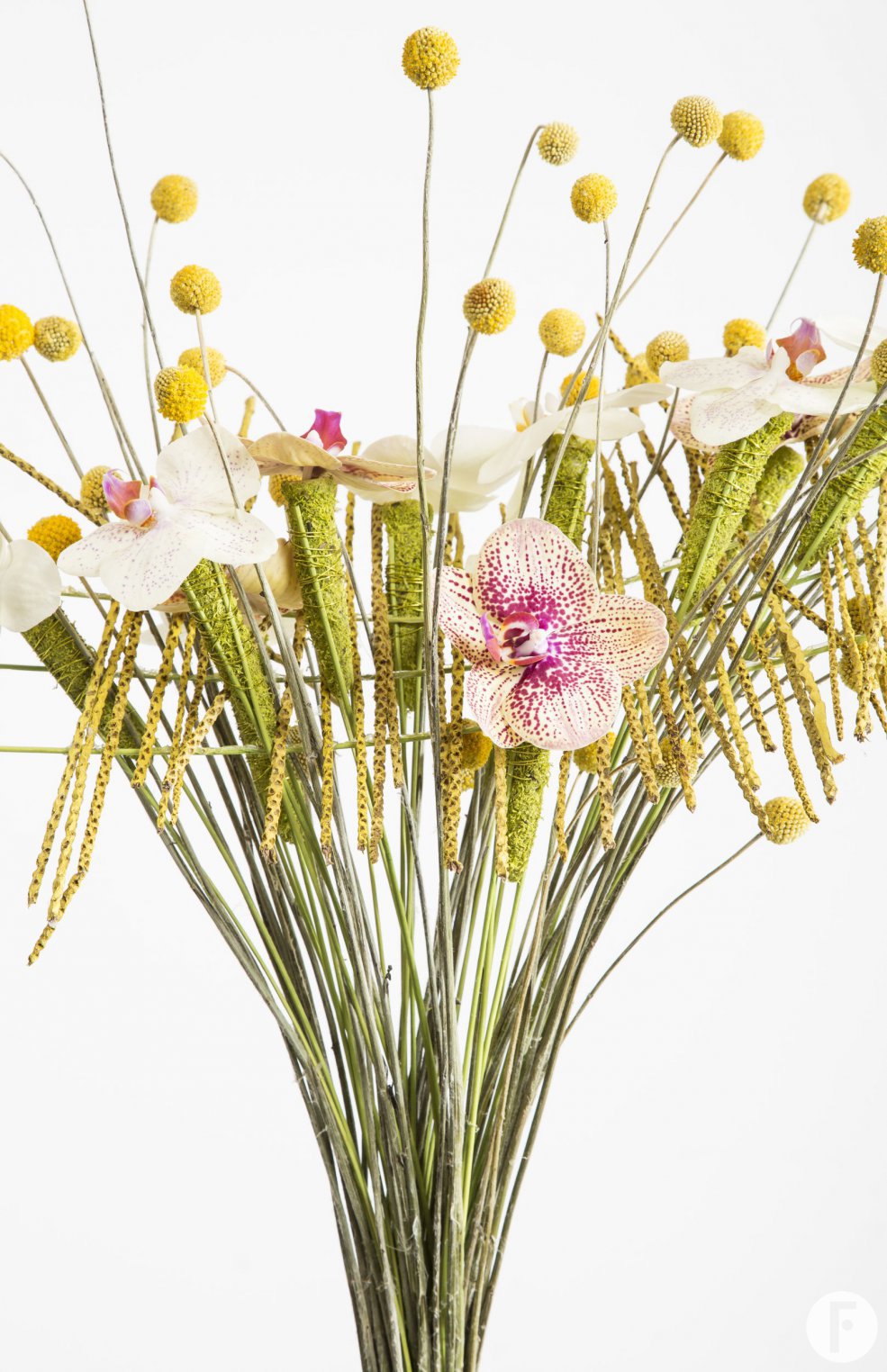 Frame bouquet with Phalaenopsis