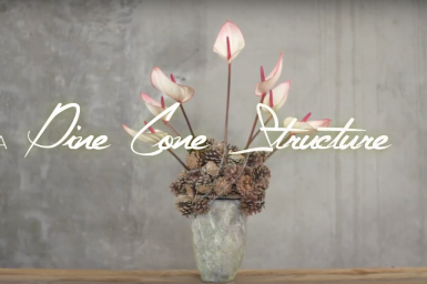 Structuur van dennenappels met Anthurium