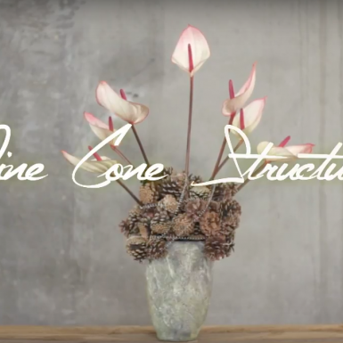 a Pine Cone Structure with Anthuriums