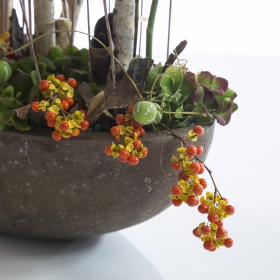 najaarsschuit - close