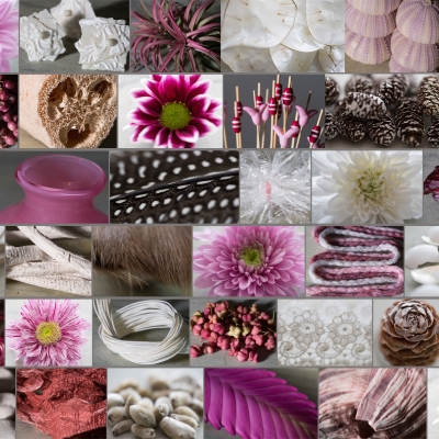 Winter mood board with Chrysanthemums 